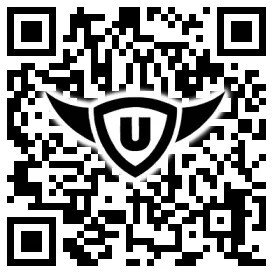 QR-Code Stonies