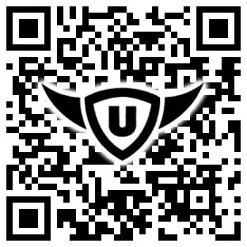 QR-Code Stonies