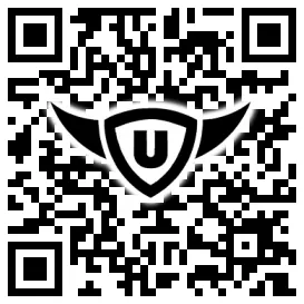 QR-Code Stonies