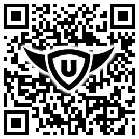 QR-Code Stonies