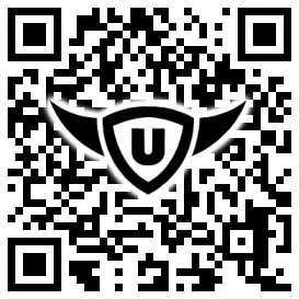 QR-Code Stonies