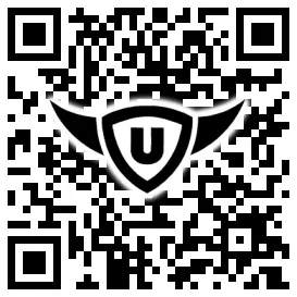 QR-Code Stonies